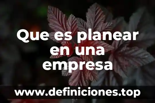 Que es una empresa de calidad 3 Que es planear en una empresa
