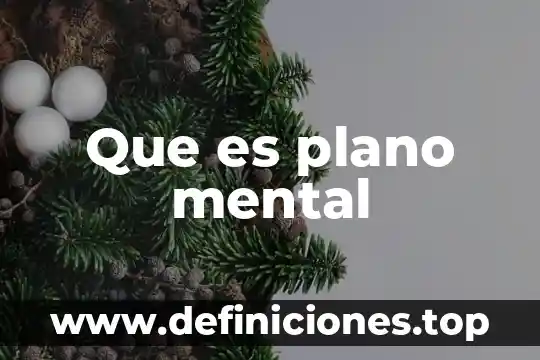 Que es un mapa mental y su funcion 3 Que es plano mental