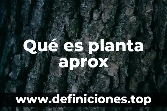 Qué es planta aprox