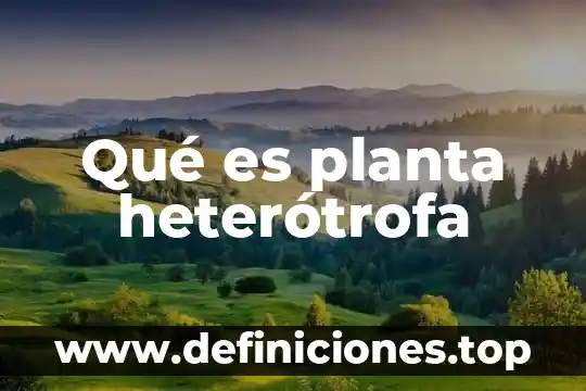 Qué es planta heterótrofa