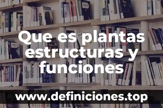 Que es fy en estructuras 5 Que es plantas estructuras y funciones