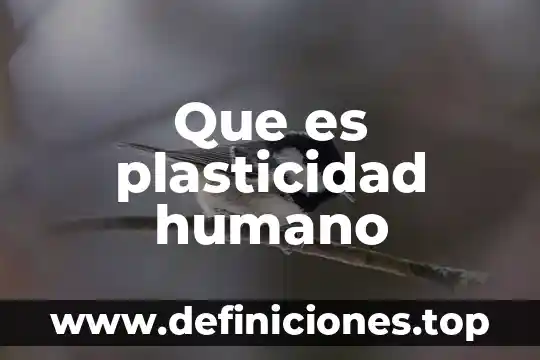 Que es plasticidad humano