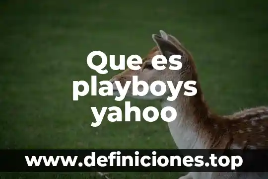Que es la amplitud de una onda yahoo 8 Que es playboys yahoo