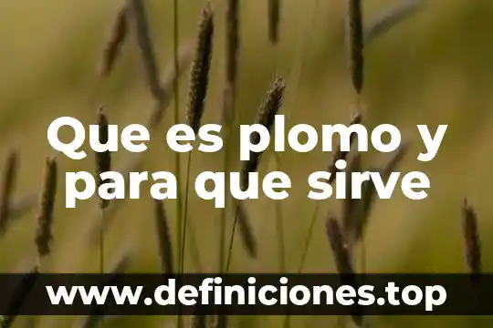Que es el plomo en la ingenieria industrial 5 Que es plomo y para que sirve