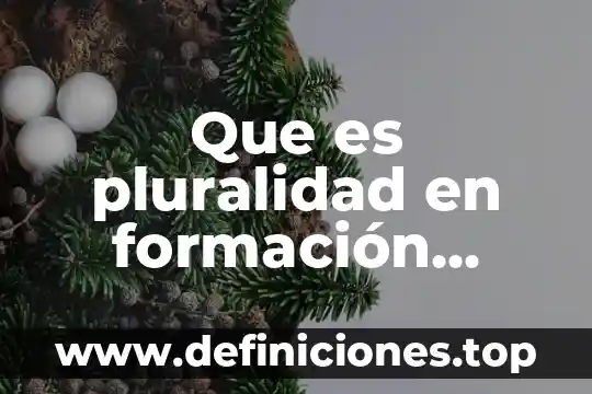 Que es la definicion de formacion civica y etica 5 Que es pluralidad en formación cívica y ética