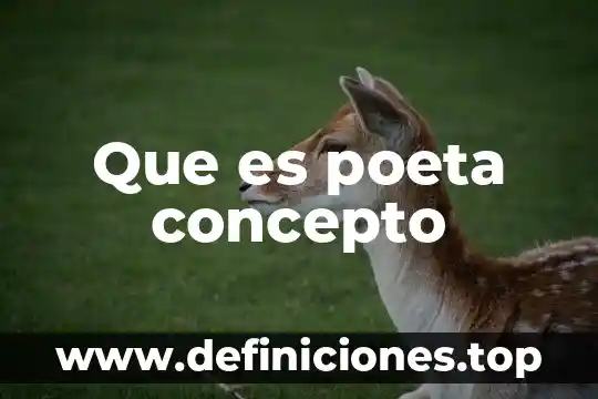 Que es poeta concepto