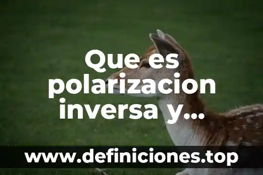 Que es una matriz inversa aplicaciones 6 Que es polarizacion inversa y directa