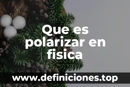 Que es polarizar en fisica