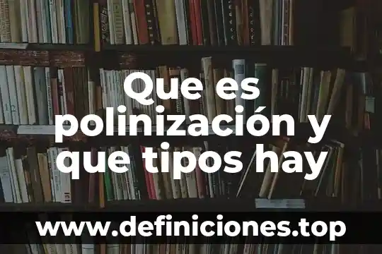 Que es inteligencia y que tipos hay 8 Que es polinización y que tipos hay
