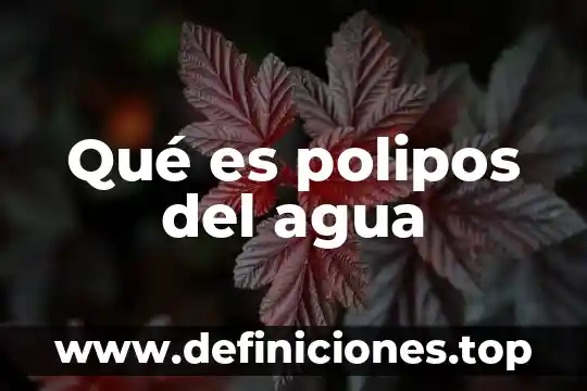 Qué es polipos del agua