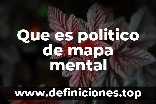 Que es politico de mapa mental