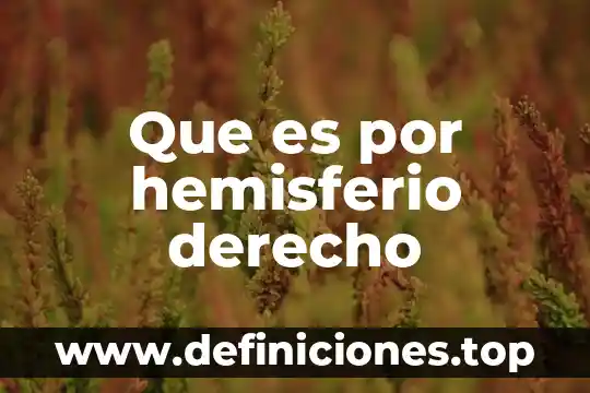 Por que es imortante una estructura 3 Que es por hemisferio derecho