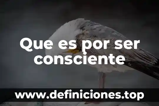 Que es por ser consciente