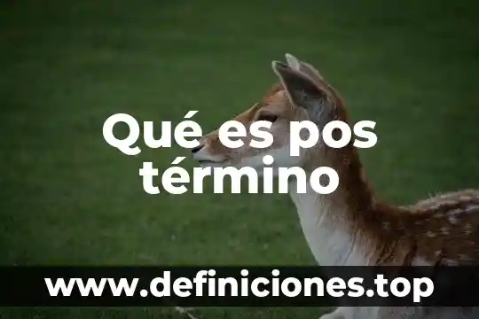 Qué es pos término