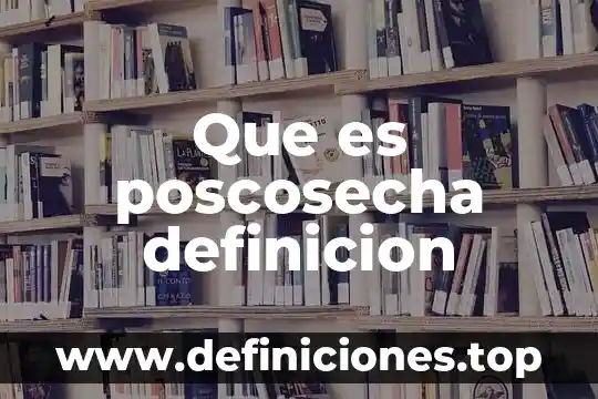 Que es optimista definicion 7 Que es poscosecha definicion