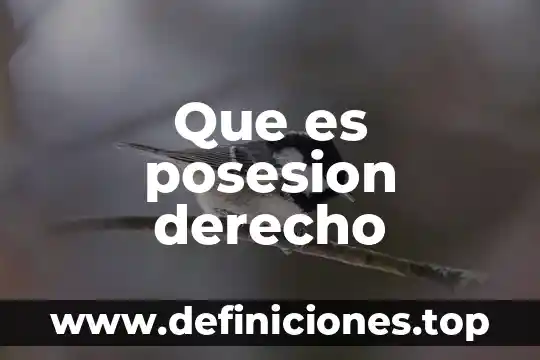 Que es posesion derecho