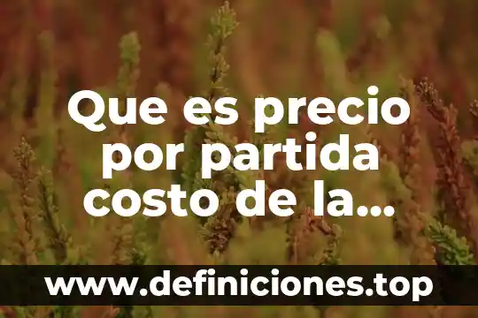 Que es costo efectividad en economia 4 Que es precio por partida costo de la construccion
