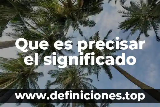 Que es precisar el significado