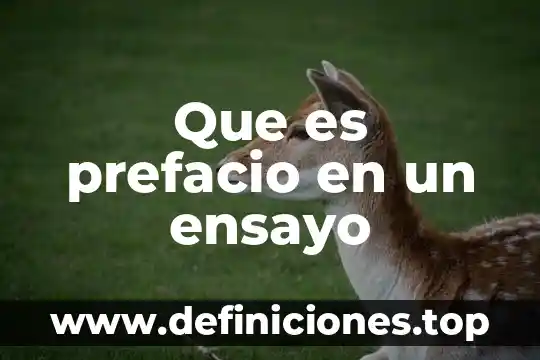 Qué es un ensayo interpretativo 7 Que es prefacio en un ensayo