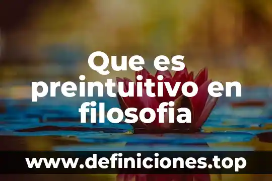 Que es preintuitivo en filosofia