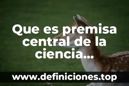 Que es una premisa de trabajo 6 Que es premisa central de la ciencia ocupacional