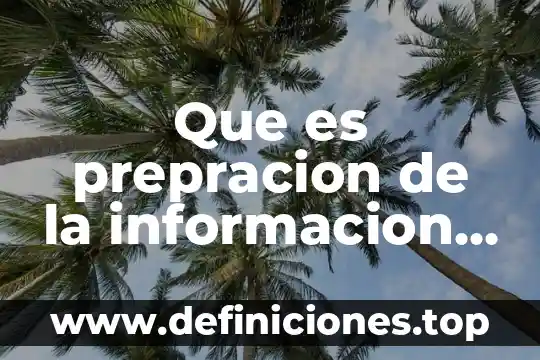 Que es prepracion de la informacion en estadistica