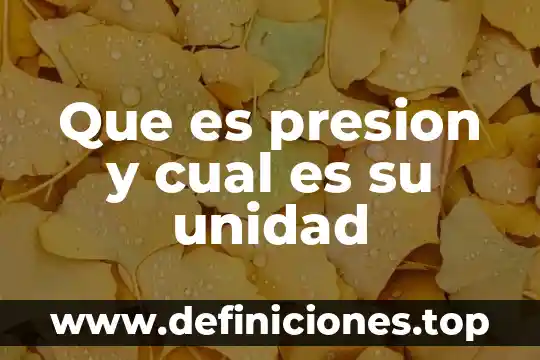 Qué es una unidad de carga eléctrica 6 Que es presion y cual es su unidad