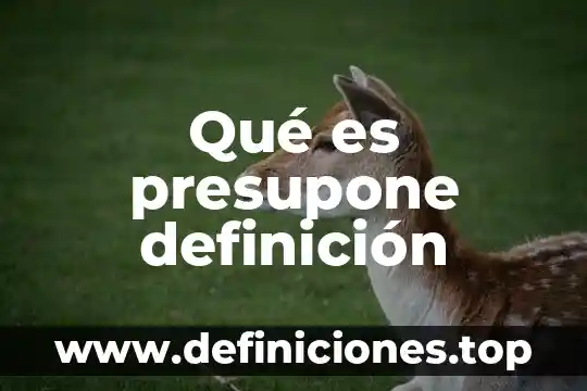 Qué es presupone definición