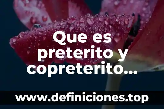 Que es el preterito perfecto compuesto ejemplos 5 Que es preterito y copreterito yahoo