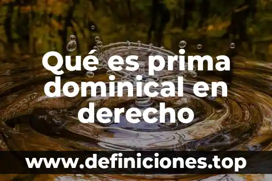 Que es existencias de materia prima directa y materiales 5 Qué es prima dominical en derecho