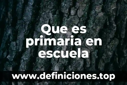 Que es primaria en escuela