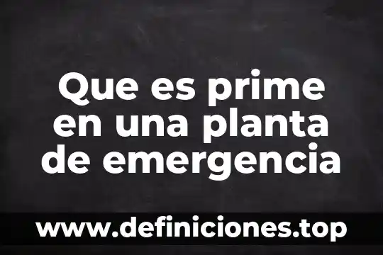 Que es prime en una planta de emergencia