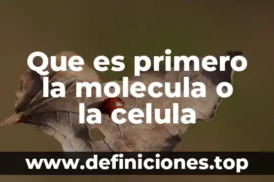 Que es mayor la molecula o la celula 8 Que es primero la molecula o la celula