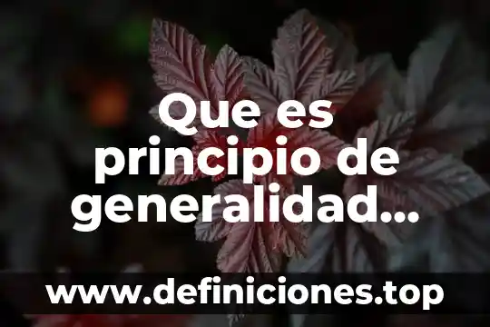 Que es principio de generalidad geografica