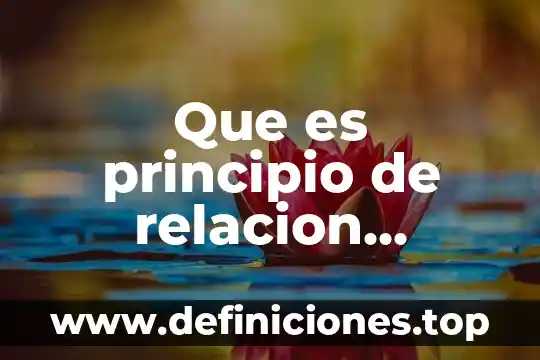 Que es principio de relacion geografica