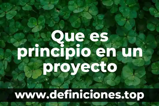 Que es principio en un proyecto