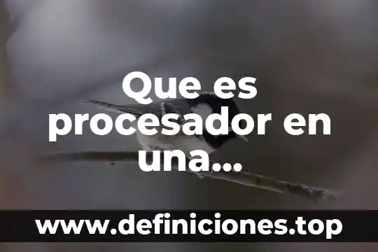 Que es el procesador word pad 5 Que es procesador en una computadora