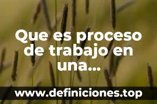 Que es proceso de trabajo en una comunidad