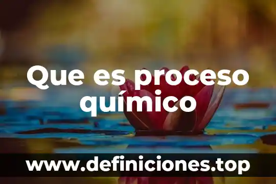 Que es el liquido amniotico y que funcion cumple 5 Que es proceso químico