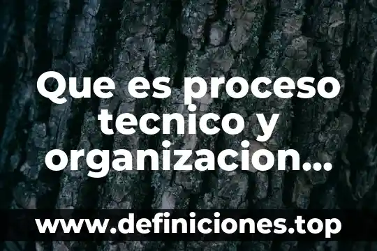 Que es proceso tecnico y organizacion social