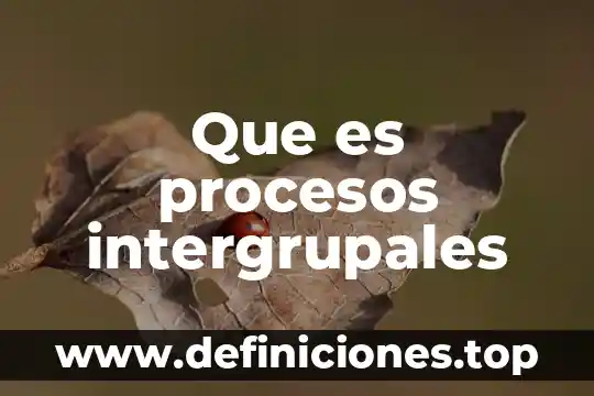 Que es diagramacion de procesos 4 Que es procesos intergrupales