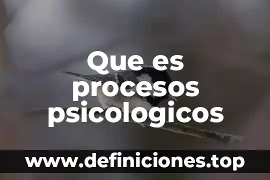 Que es procesos psicologicos