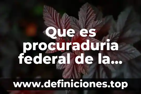 Que es procuraduria federal de la defensa del trabajo