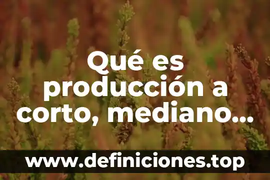 Que es la seguridad social corto plazo 7 Qué es producción a corto, mediano y largo plazo