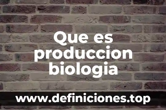 Qué es la endocitosis en biología 7 Que es produccion biologia