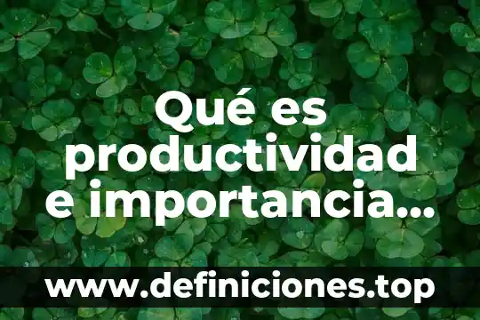 Qué es productividad e importancia enfocado a las empresas