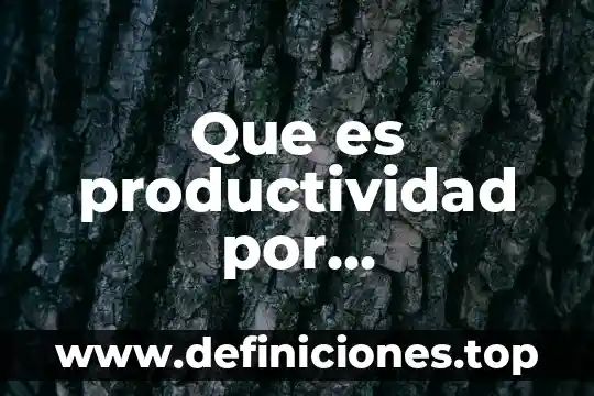 Que es actividad psiquica 4 Que es productividad por especializacion