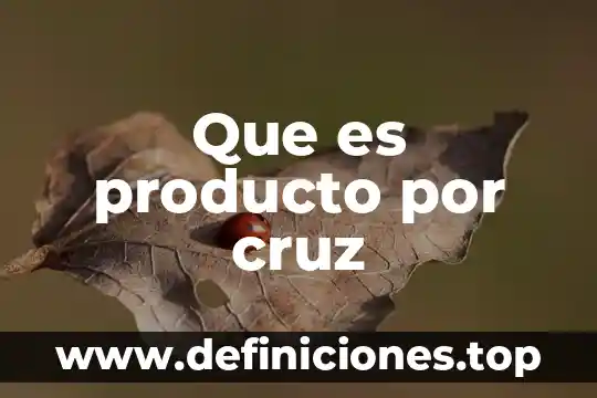 Qué es un producto forestal no maderable 6 Que es producto por cruz