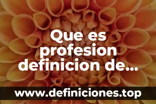 Que es profesion definicion de autores