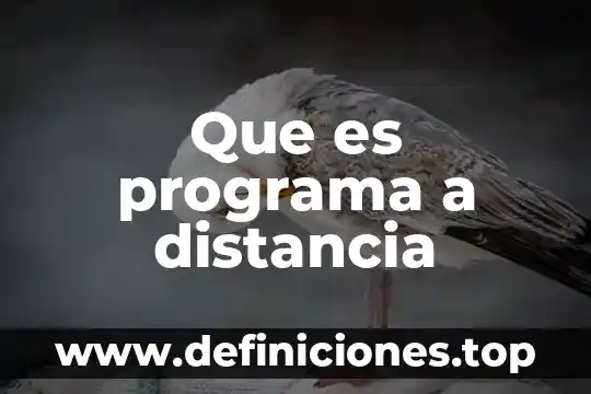 Que es el comercio a distancia 3 Que es programa a distancia
